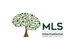 MLS international logo